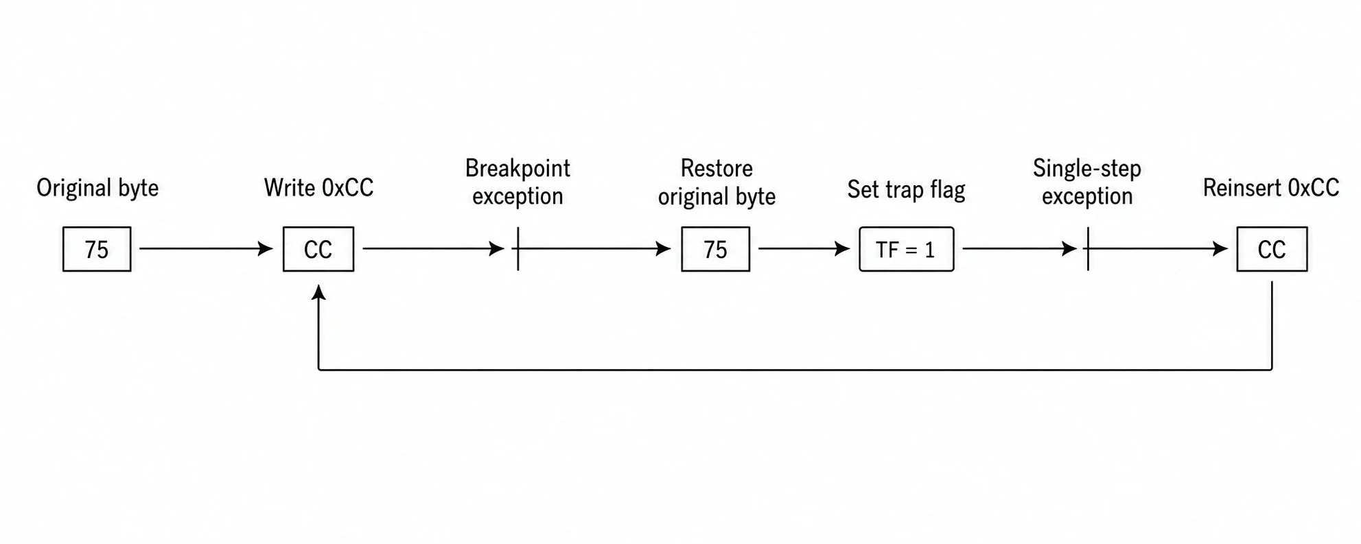 Software-breakpoint lifecycle from the original instruction byte through INT3 handling and single stepping